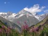 IMG_20190811_123105.jpg