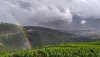 IMG_20190811_184226.jpg