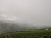 IMG_20190812_091008.jpg