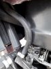 20200627_183122.jpg