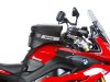 shad6554.jpg