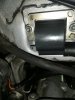 IMG_20200703_162553.jpg