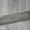 20200715_180646.jpg