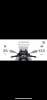 1921FA16-AD9B-449E-AD03-5F656532DA56.png