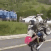 motard.gif
