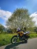 IMG_20190427_163849.jpg