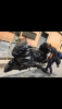 79EFDECB-EB97-47EC-9CCD-A9CBF761580C.png