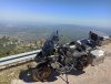 IMG_20200716_165119.jpg