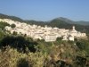 IMG_2804.jpeg