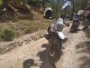 IMG_20200809_141649.jpg