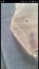 Screenshot_20200812-112453_Wallapop.jpg