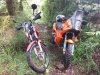 IMG-20200614-WA0002.jpg