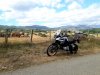 20200821_145807.jpg