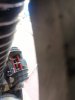 IMG_20200823_173434.jpg