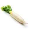 nabos-daikon.jpg