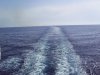 S4034518.jpg