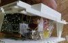 sshot-378.jpg