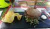 IMG-20190427-WA0020.jpeg