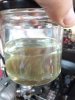 IMG_20200904_192915.jpg