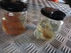 IMG_20200904_192905.jpg