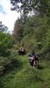 IMG_20200910_151315.jpg