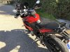 IMG_0699.jpeg