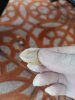 IMG_20200916_134626.jpg