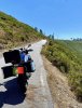 IMG_4343.JPG