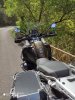 IMG_20200920_133004.jpg