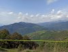 IMG_20200917_131128.jpg