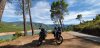 2f419737-c1b2-4269-8245-7aa4b341817f.jpg