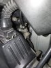 IMG_20200907_190652.jpg