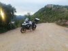IMG_20201003_190217.jpg