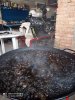 IMG_20201004_140500.jpg