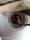 IMG_20201009_104935.jpg