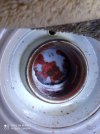 IMG_20201009_105018.jpg