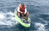 26C34449-B00C-4A1D-873F-346D2D179404.gif