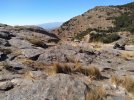 IMG_20201012_123847155.jpg