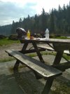 IMG_20190517_095845.jpg