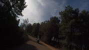 CD2DF4E5-983F-4C98-AA35-9DFF35057578.jpeg
