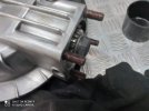 IMG_20201010_171307.jpg
