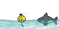 3060371954.gif