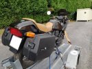 IMG_20201006_123304.jpg