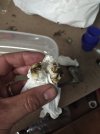 IMG_20201023_221900.jpg