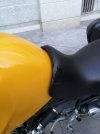 IMG_20200921_083004.jpg