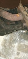 IMG_20201101_142658.jpg