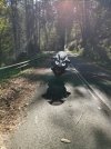 IMG_20201107_122606.jpg