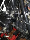 IMG_20201107_175916.jpg