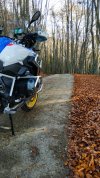 IMG_20201110_151101.jpg