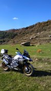 IMG_20201110_150228.jpg